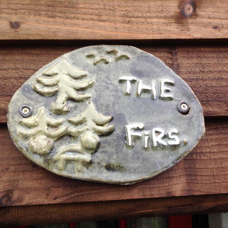 The Firs Διαμέρισμα Builth Wells Εξωτερικό φωτογραφία